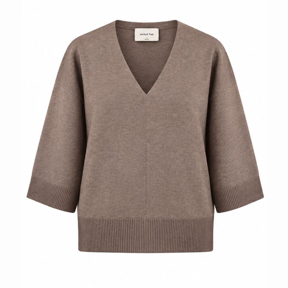 Wilfred Free Womens Sweater Brown Souvenir Oversized V Neck Pullover Size 2